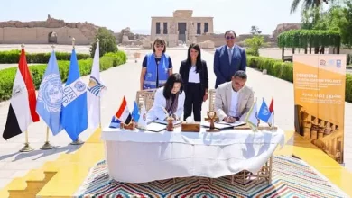  المشاط