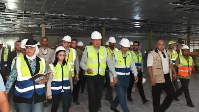 وزير قطاع الأعمال 