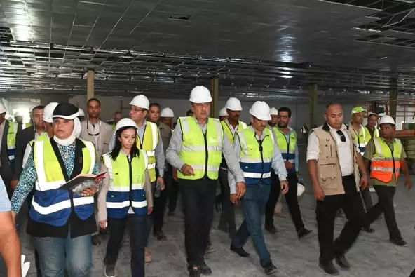 وزير قطاع الأعمال 