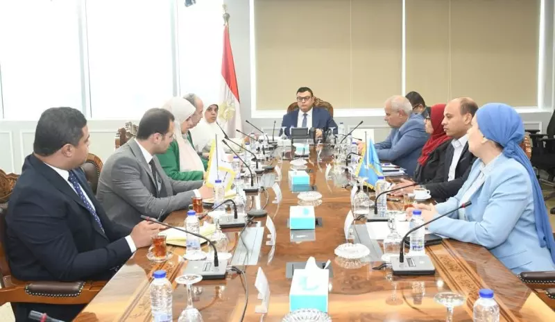 الاسكان