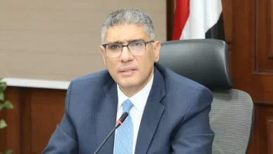 محافظ الجيزة