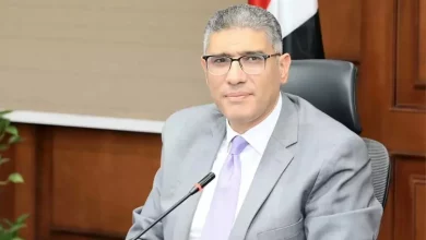 محافظ الجيزة