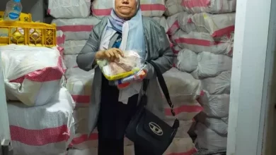 الجيزة