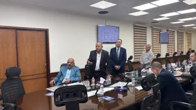 وزير الكهرباء