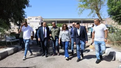وزيرة التنمية