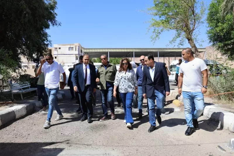 وزيرة التنمية