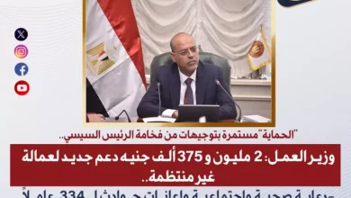 وزارة العمل