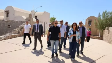 وزيرة البيئة