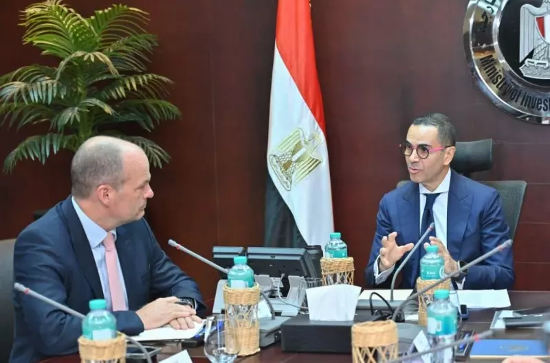 الاستثمار