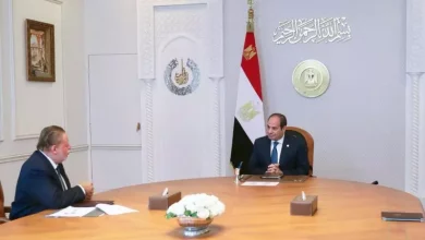 السيسي