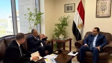 رئيس التمثيل التجاري المصري