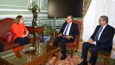 وزير الخارجية