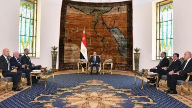 الرئيس السيسي