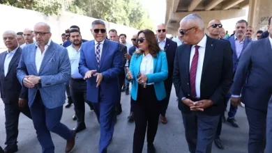 وزيرة التنمية