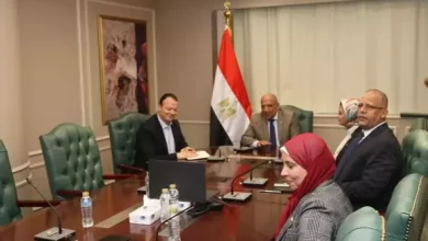 وزير الكهرباء