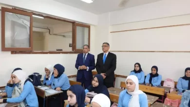 محافظ الجيزة