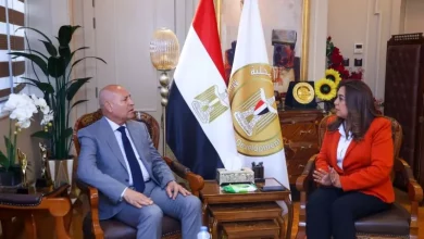 التنمية المحلية