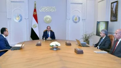 السيسي