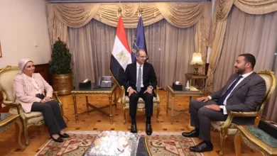 المصرية للاتصالات