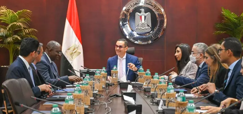 وزير الاستثمار