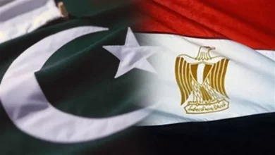 الهجوم الإرهابى