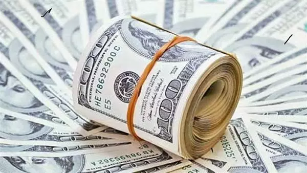 سعر الدولار 