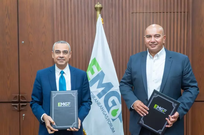 شركة MCS