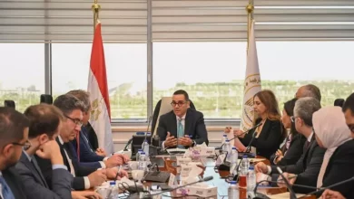 وزير الاستثمار