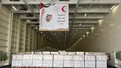 وفد إماراتى