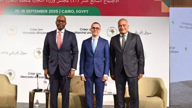 وزير الاستثمار