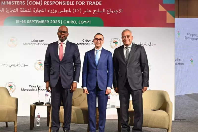 وزير الاستثمار