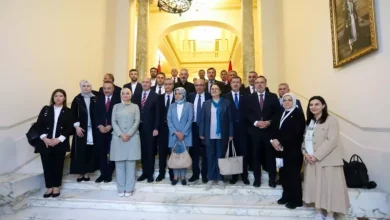 وفد برلمانى تركى