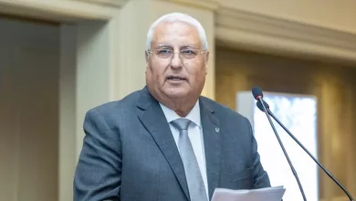 سامي عبد الصادق