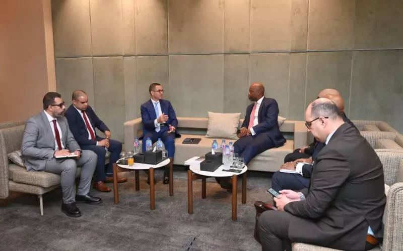 الاستثمار