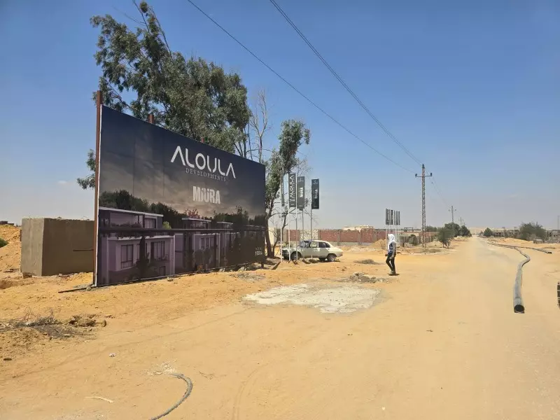الأولى للتطوير