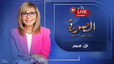 محمد منير