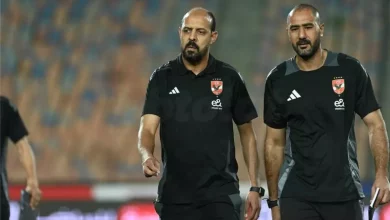 عماد النحاس