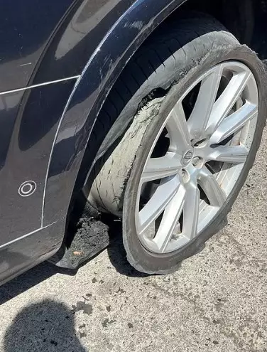 داليا البحيري
