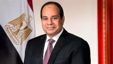 السيسي
