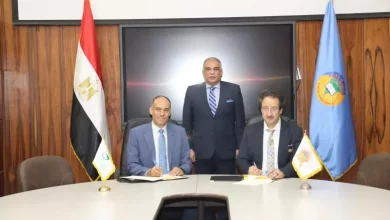 البريد المصري