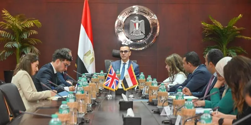 وزير الاستثمار
