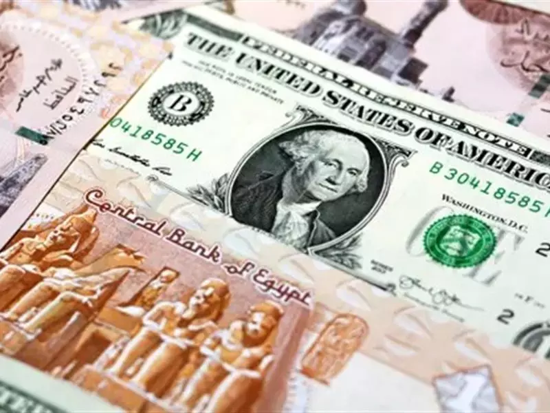 سعر الدولار