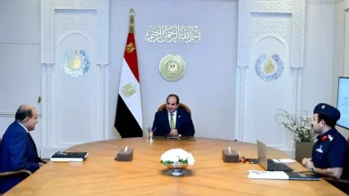 السيسي
