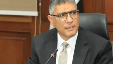 محافظ الجيزة