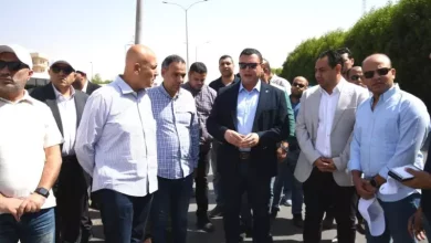 وزير الاسكان