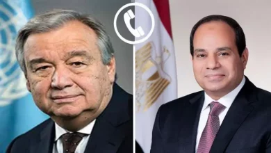 السيسي