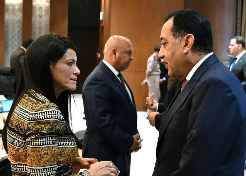 وزيرة التخطيط