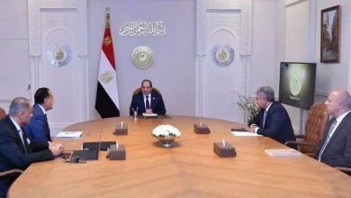 الرئيس عبدالفتاح السيسي