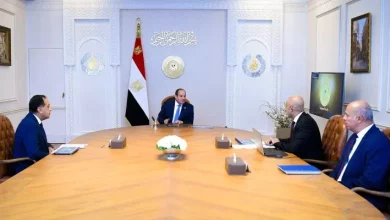رئيس السيسي