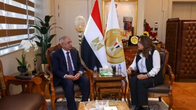التنمية المحلية